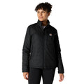 104314 - Carhartt Women's Rain Defender® Relaxed Fit Lightweight Insulated Jacket (Stocked In Canada)