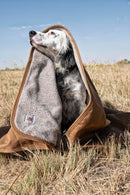 SPGP537 - Carhartt Firm Duck Lined Throw (Stocked In Canada)